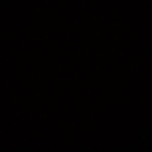 Meet your Posher, Rina